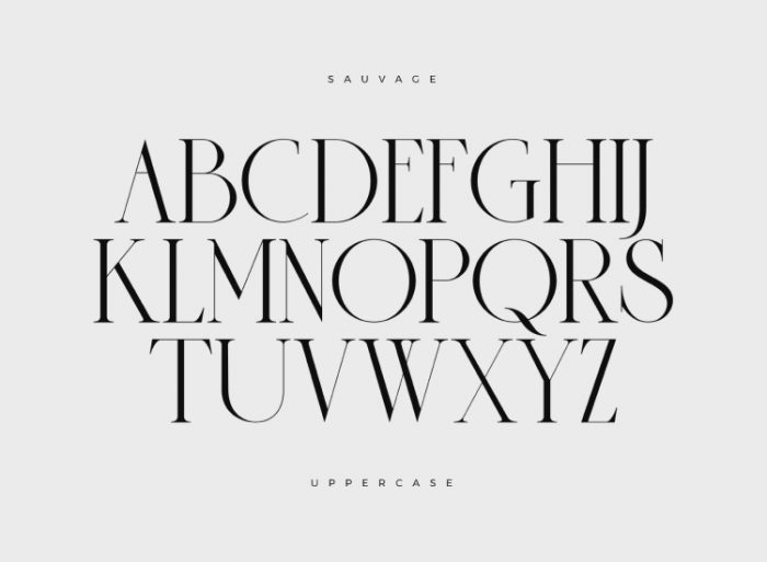 Sauvage Font Free Download ~ Free Fonts Download