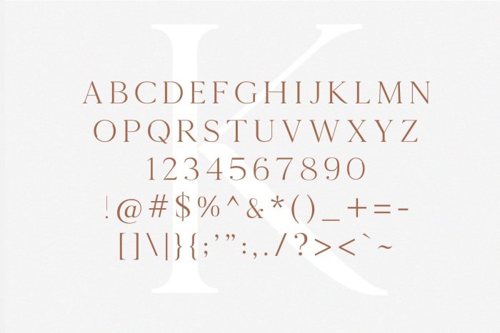 Kinfolk Font: Classic Style Serif Typeface ~ Free Fonts Download