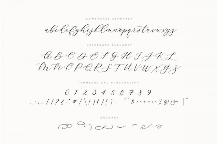 Adore Calligraphy Font ~ Free Fonts Download