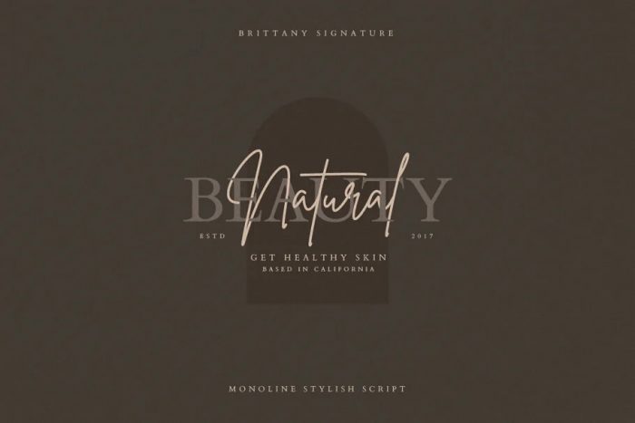 Brittany Font ~ Free Fonts Download