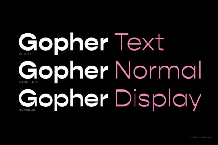 Gopher Font: Complete Font Family ~ Free Fonts Download