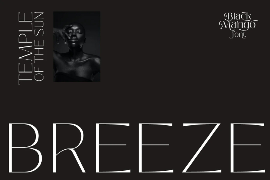 Black Mango Font: Modern Beauty Font ~ Free Fonts Download