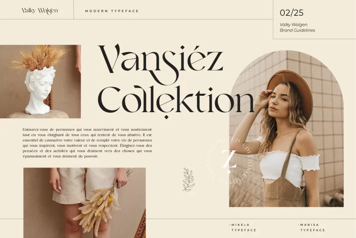 Valky Font | Valky Classic Modern Font - Fonts For Free - UI Freebies