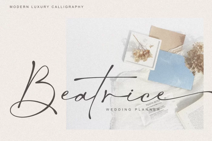 Salty Feathers Font ~ Free Fonts Download