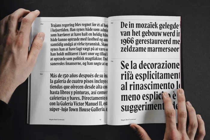 Magalie Font: Serif Typeface ~ Free Fonts Download