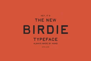 Birdie Font
