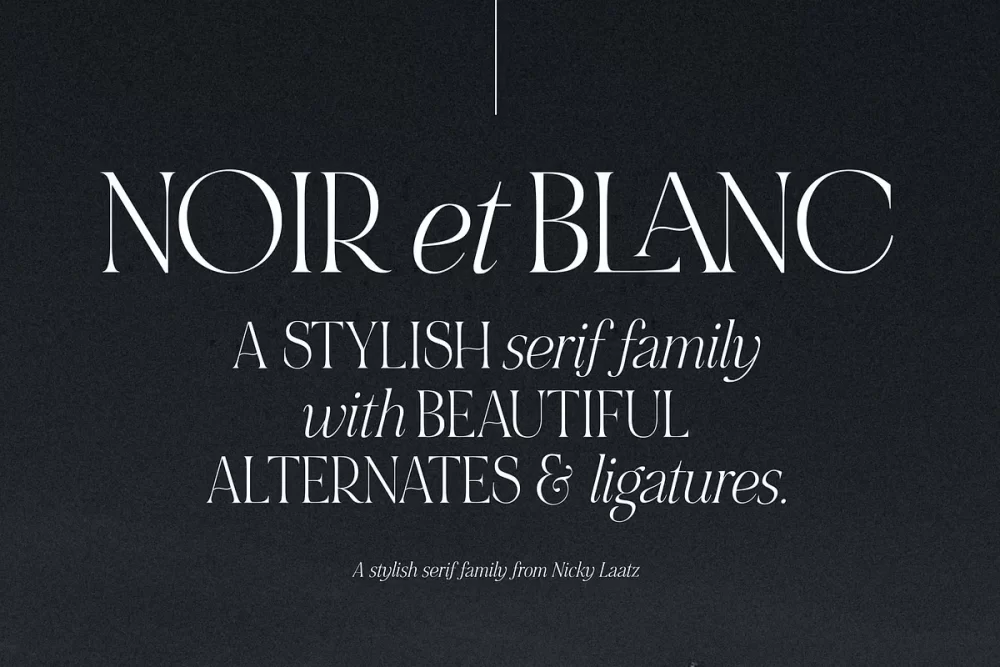 NOIR et BLANC Font
