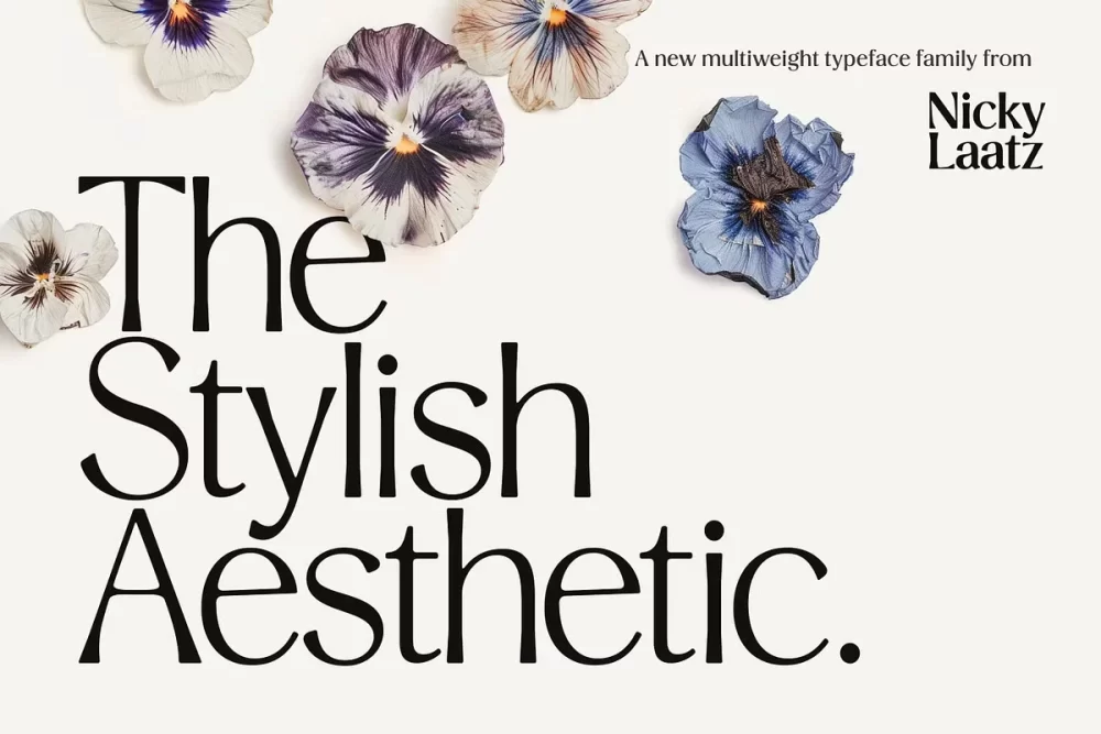 Stylish Aesthetic Font