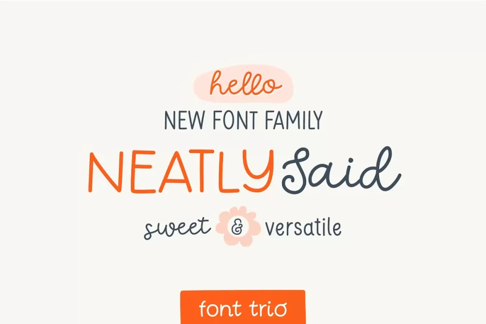 Neatly Said Font