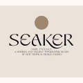 Seaker Font