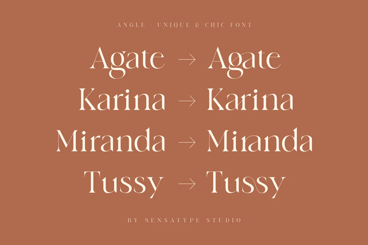 Angle Font Angle font alphabet, numbers and glyphs