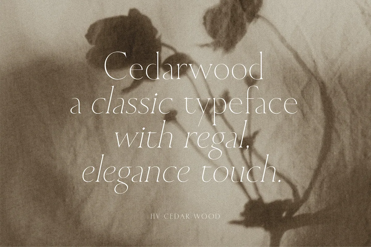 Cedarwood font alphabet, numbers and glyphs
