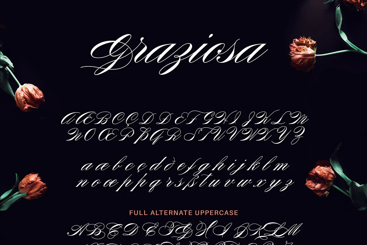 Graziosa Font Graziosa font alphabet, numbers and glyphs