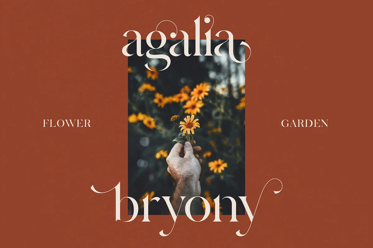 Hermione font style preview