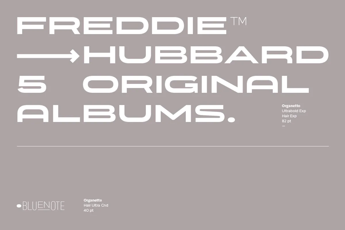 Organetto font preview — sample text