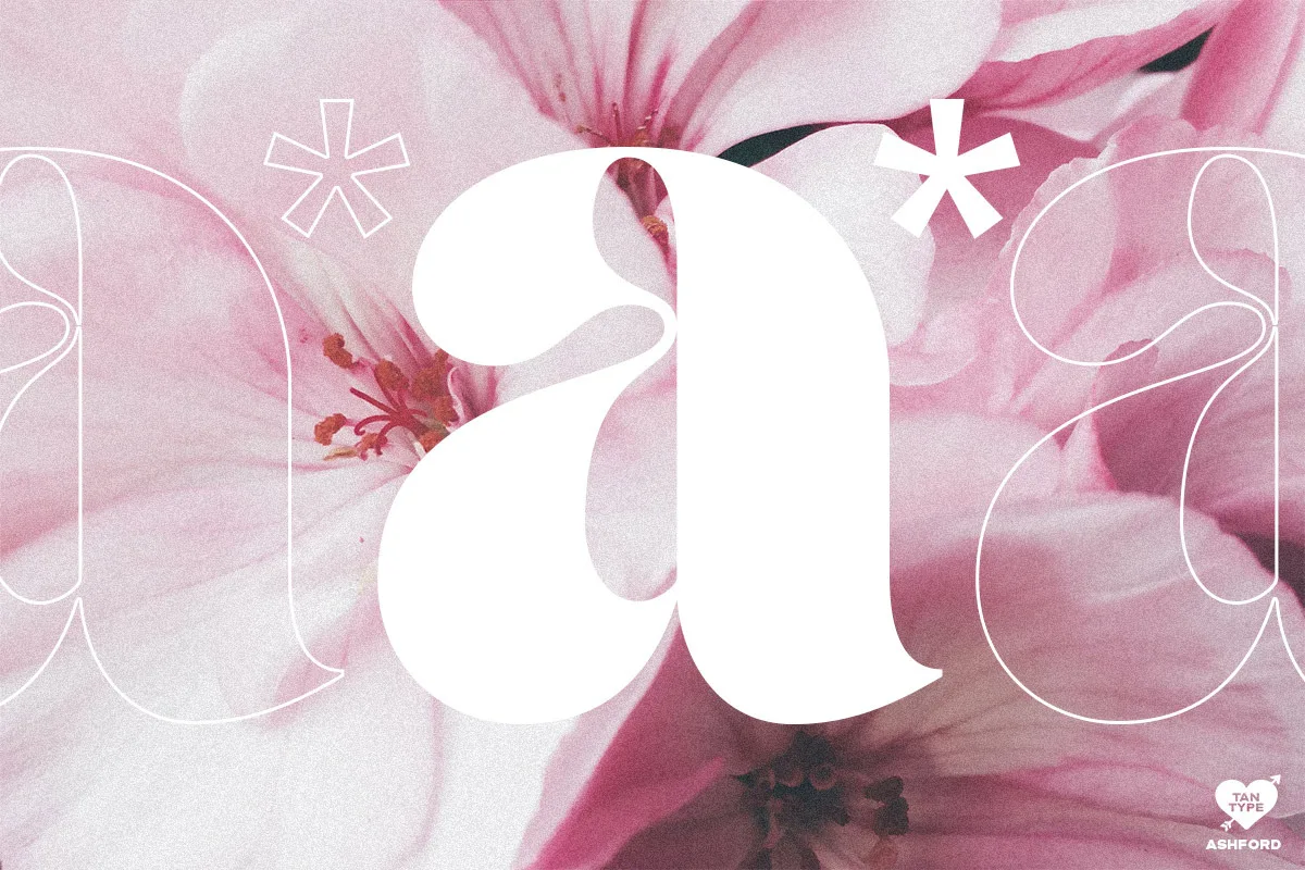 Tan Ashford font style preview