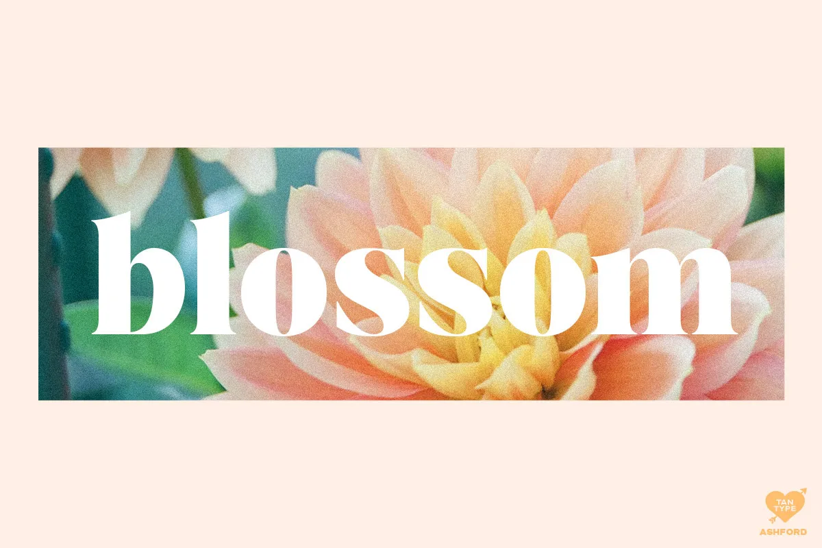 Tan Ashford font additional style preview