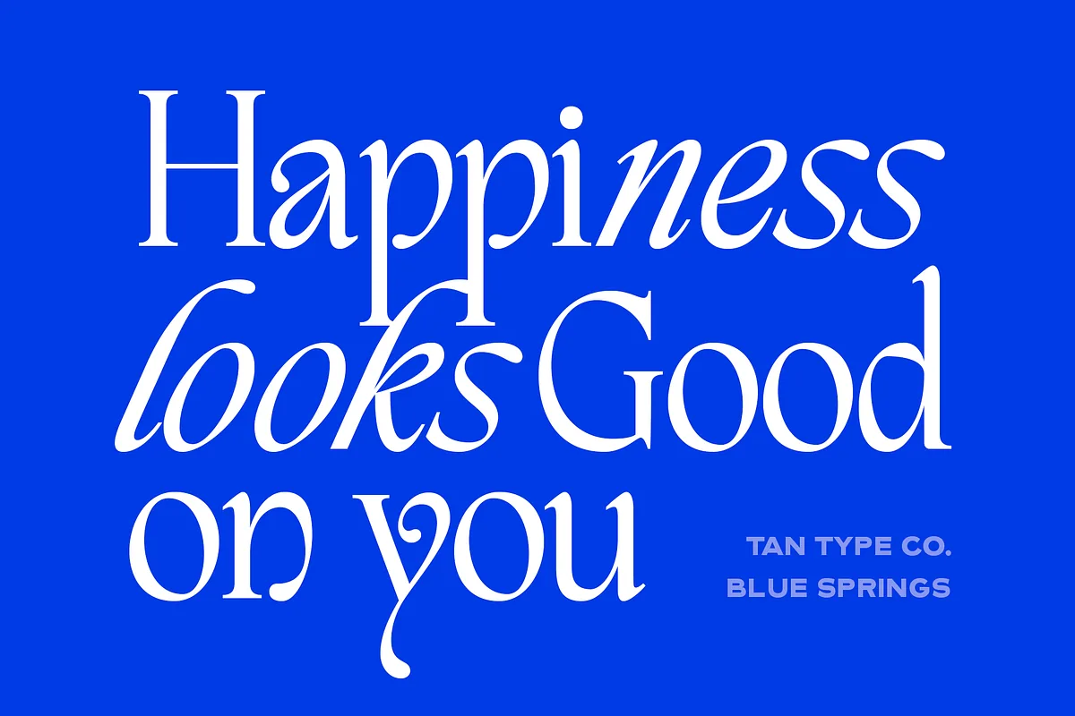 TAN BLUE SPRINGS font preview — sample text