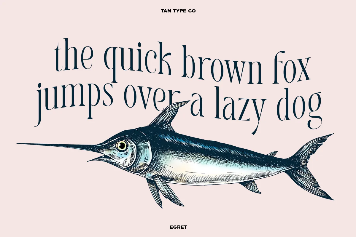 TAN - EGRET Font TAN – EGRET font style preview