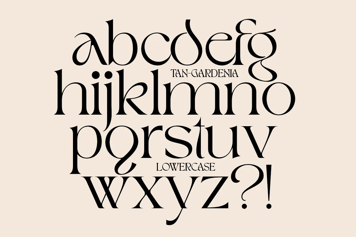 Tan Gardenia Font Tan Gardenia font detail preview