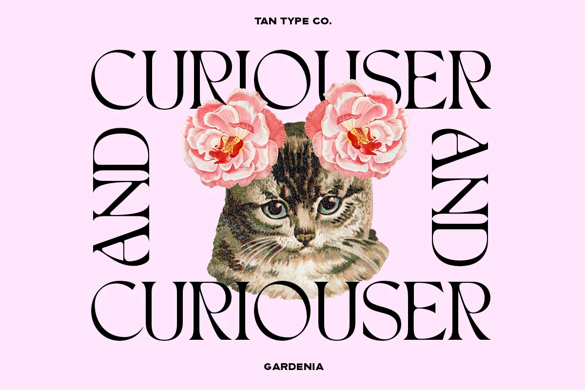 Tan Gardenia Font Tan Gardenia font additional style preview