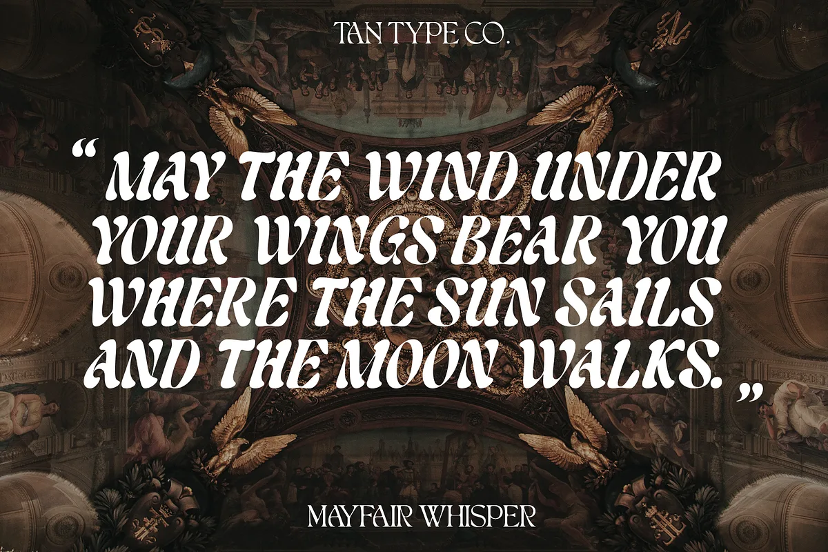 TAN – MAYFAIR WHISPER font preview — sample text