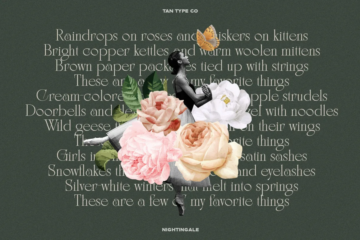 Tan Nightingale font detail preview