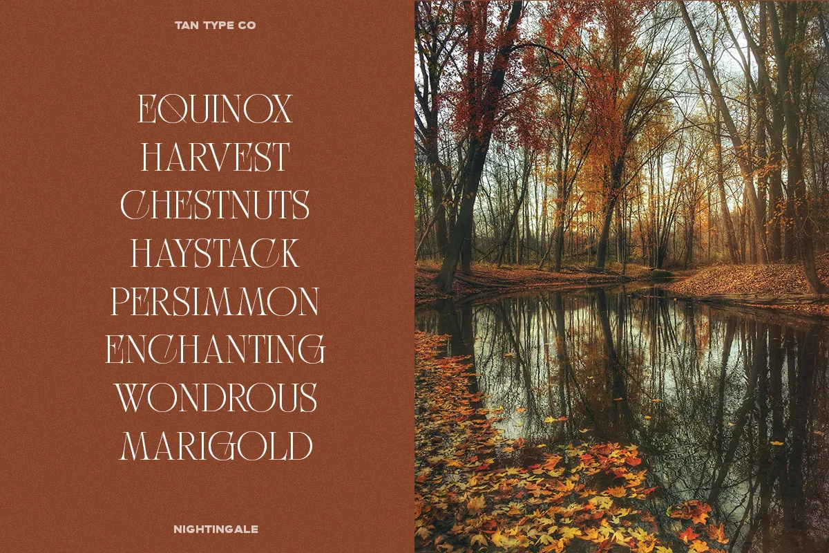 Tan Nightingale font additional style preview