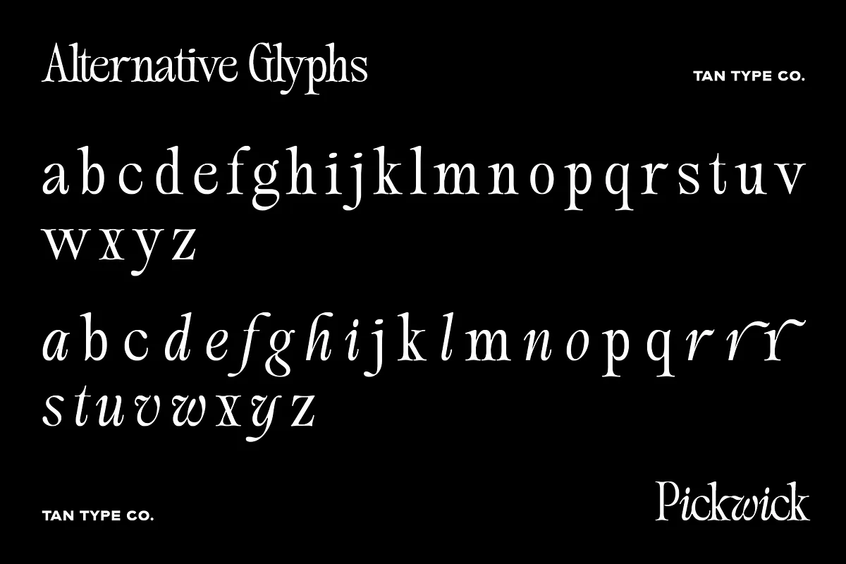 TAN PICKWICK Font TAN PICKWICK font alphabet, numbers and glyphs