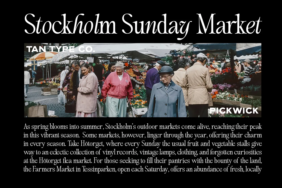 TAN PICKWICK Font TAN PICKWICK font style preview