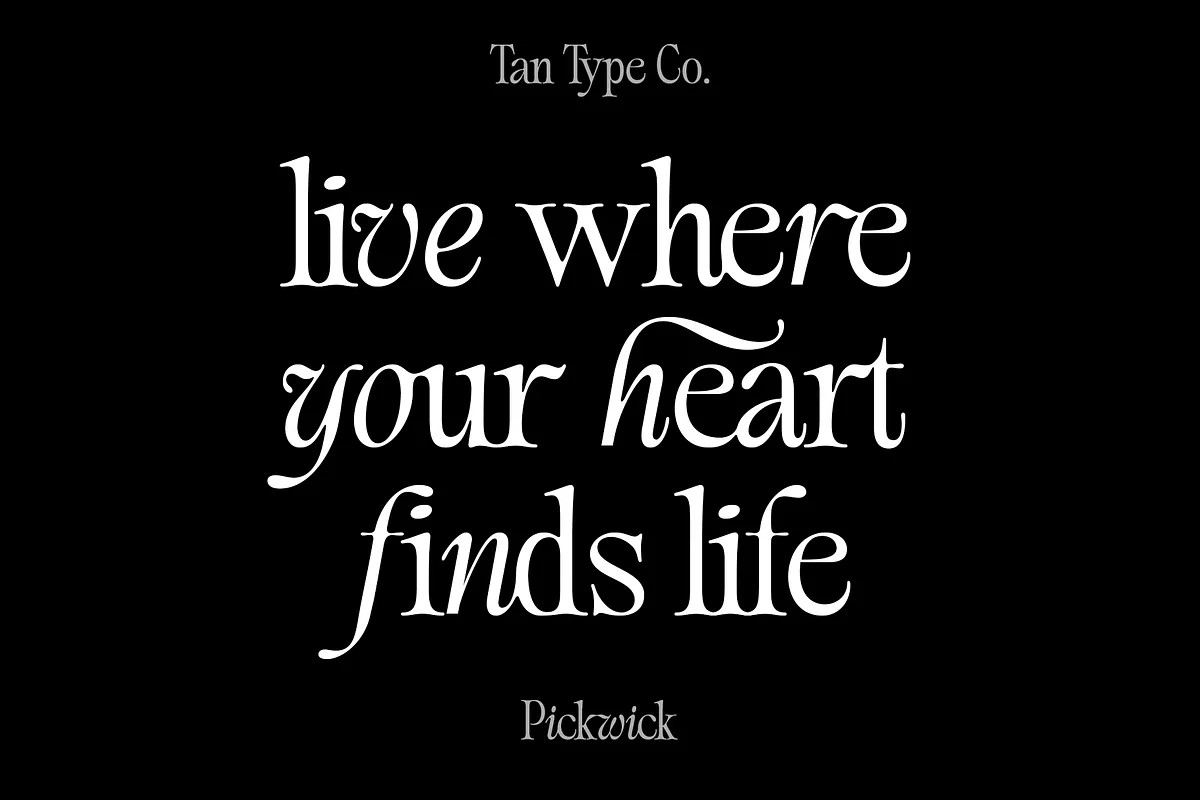 TAN PICKWICK Font TAN PICKWICK font detail preview