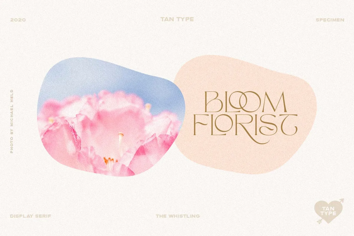 Tan Whistling font style preview